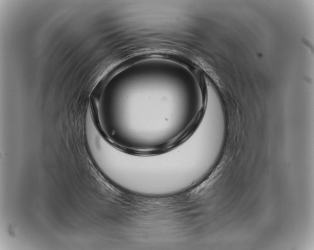 X0000098041369200804071430
