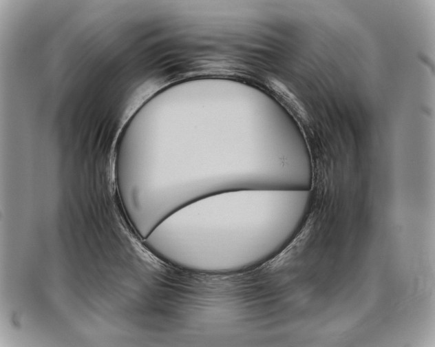 X0000098041370200804071430