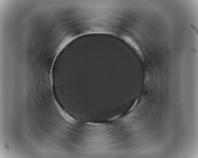 X0000098041372200804071430