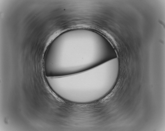 X0000098041373200804071430