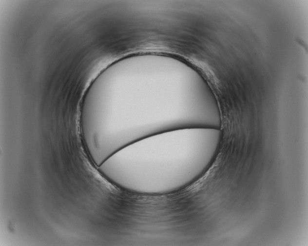 X0000098041374200804071430