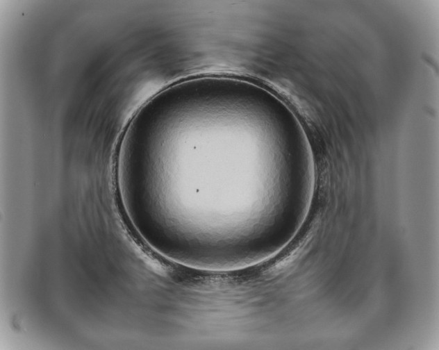 X0000098041375200804071430