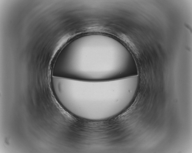 X0000098041376200804071430
