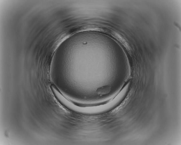 X0000098041377200804071430