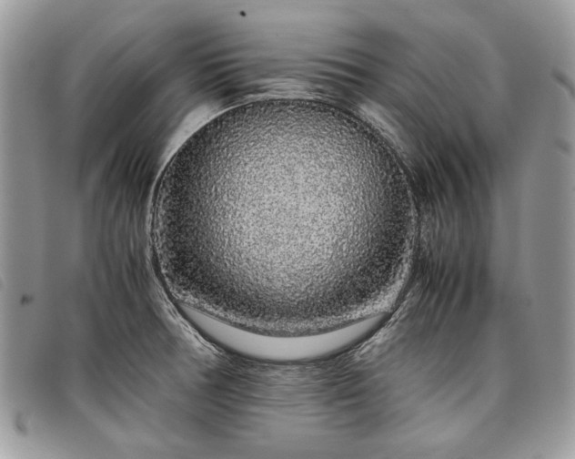 X0000098041378200804071430