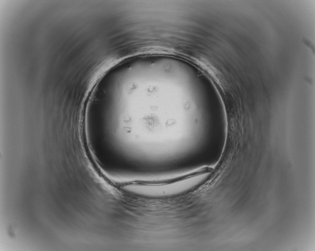 X0000098041379200804071430