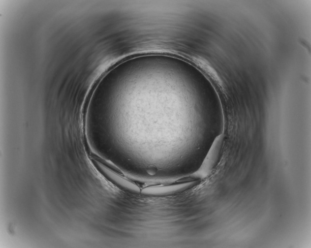 X0000098041380200804071430