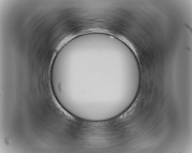 X0000098041381200804071430
