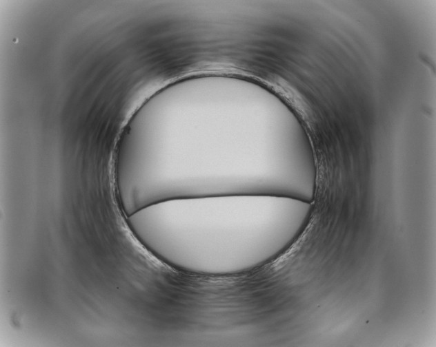 X0000098041382200804071430