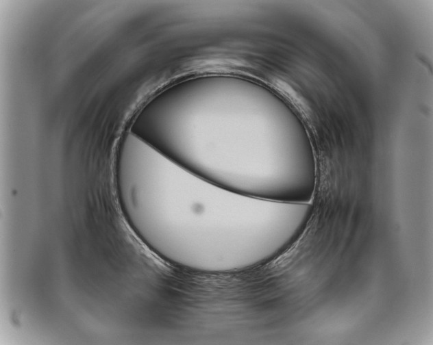 X0000098041384200804071430