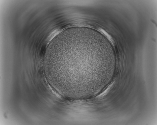 X0000098041385200804071430