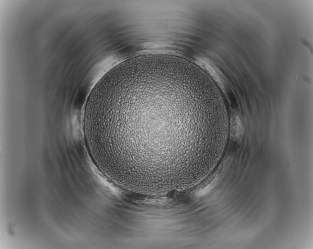 X0000098041386200804071430