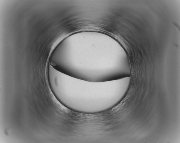 X0000098041387200804071430