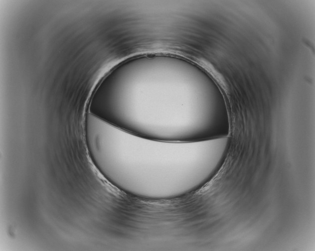 X0000098041388200804071430