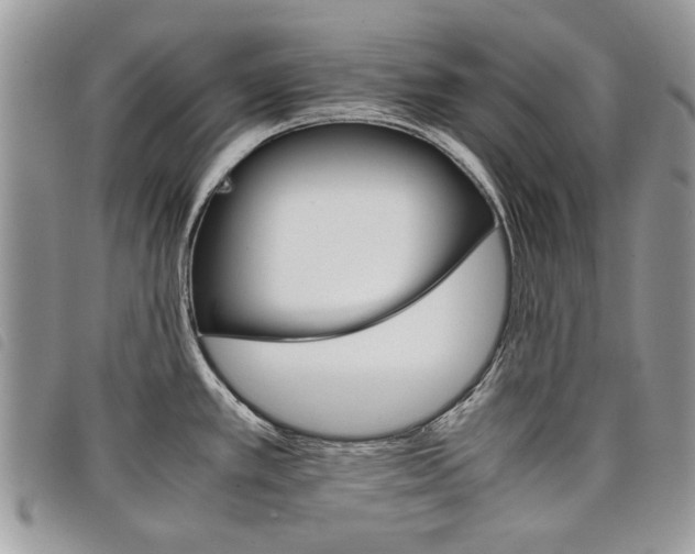 X0000098041389200804071430