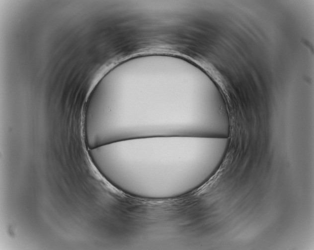 X0000098041390200804071430