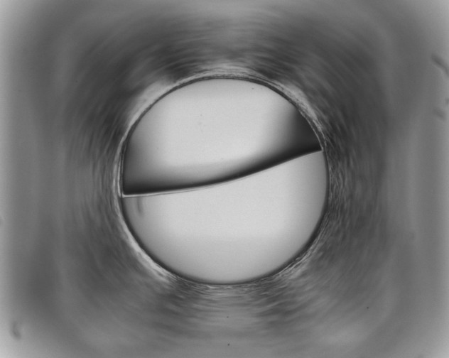 X0000098041391200804071430