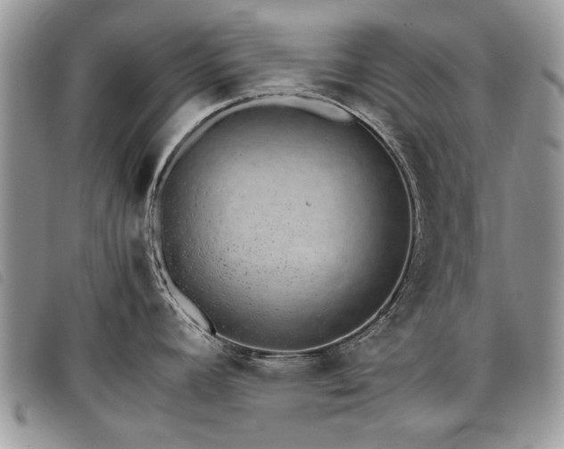 X0000098041392200804071430