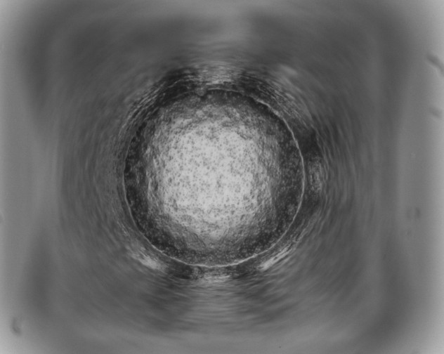 X0000098041393200804071429