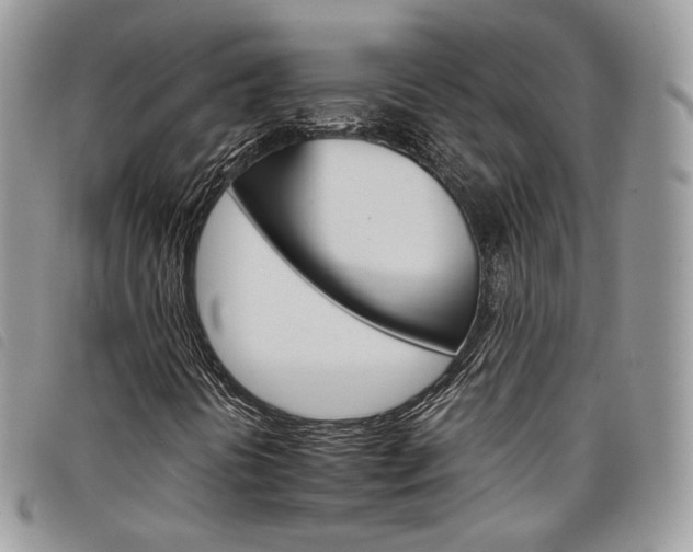 X0000098041394200804071429