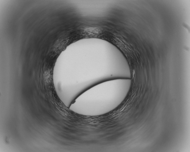 X0000098041395200804071429