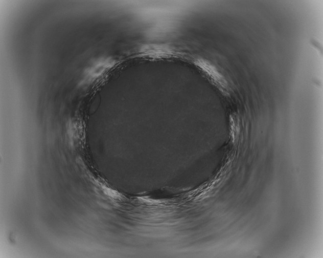 X0000098041398200804071429