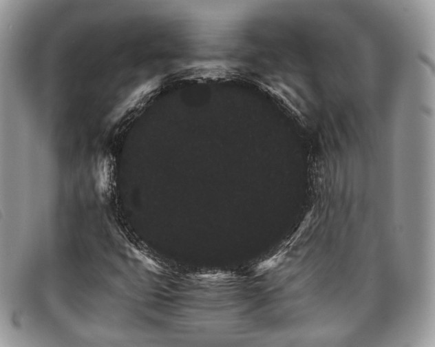 X0000098041399200804071429