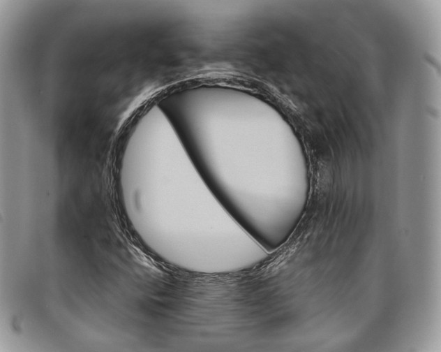 X0000098041400200804071429