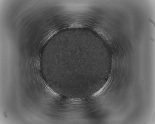X0000098041401200804071429
