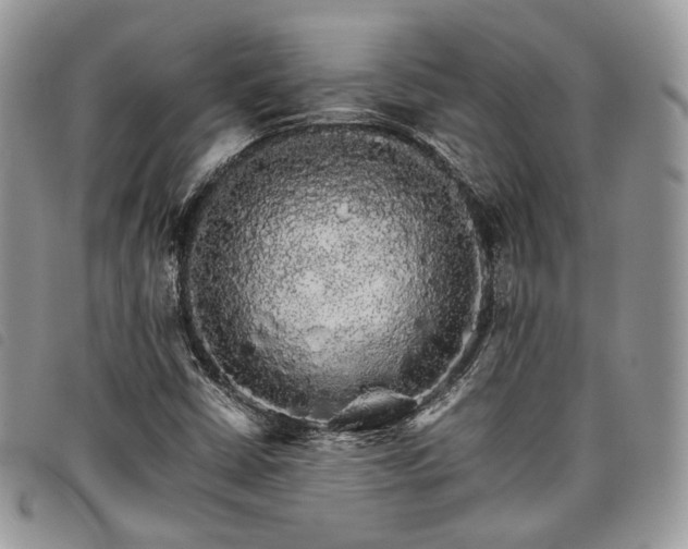 X0000098041402200804071429