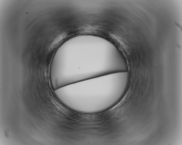X0000098041403200804071429