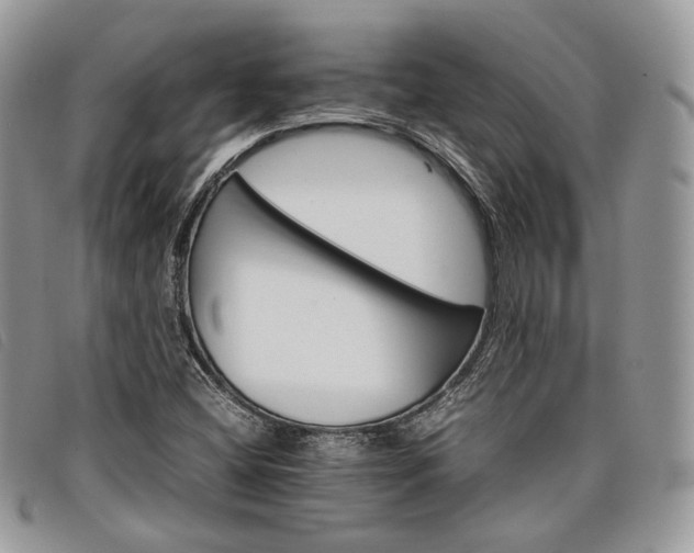 X0000098041404200804071429