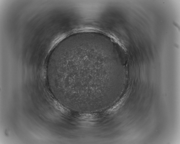 X0000098041405200804071429