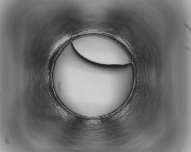 X0000098041406200804071429