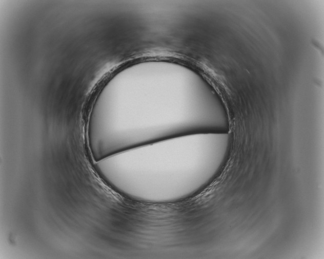 X0000098041408200804071429