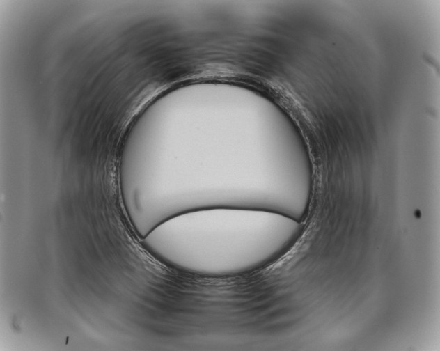 X0000098041409200804071429