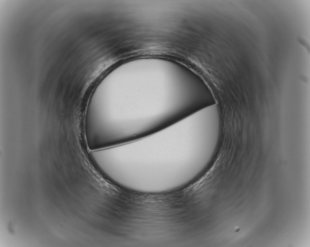 X0000098041410200804071429