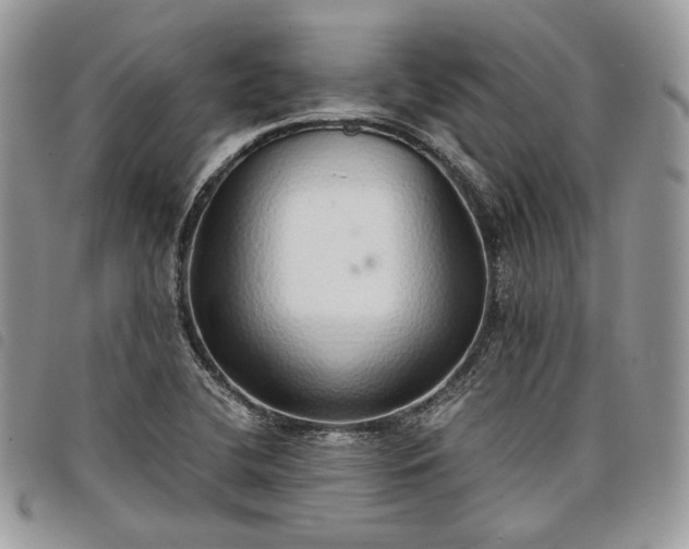 X0000098041412200804071429