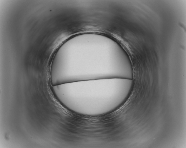 X0000098041415200804071429
