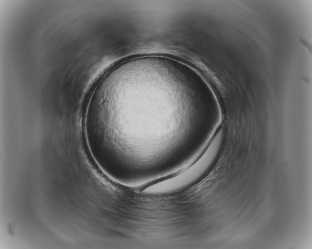 X0000098041416200804071429
