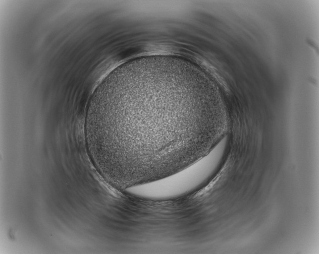 X0000098041417200804071429