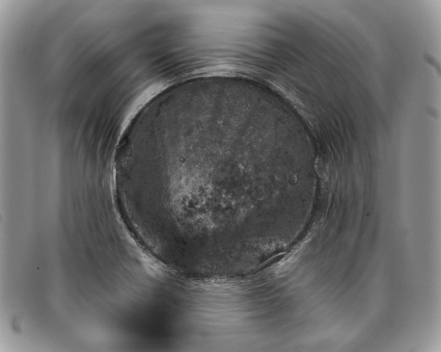 X0000098041418200804071429