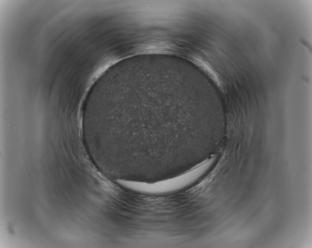 X0000098041419200804071429