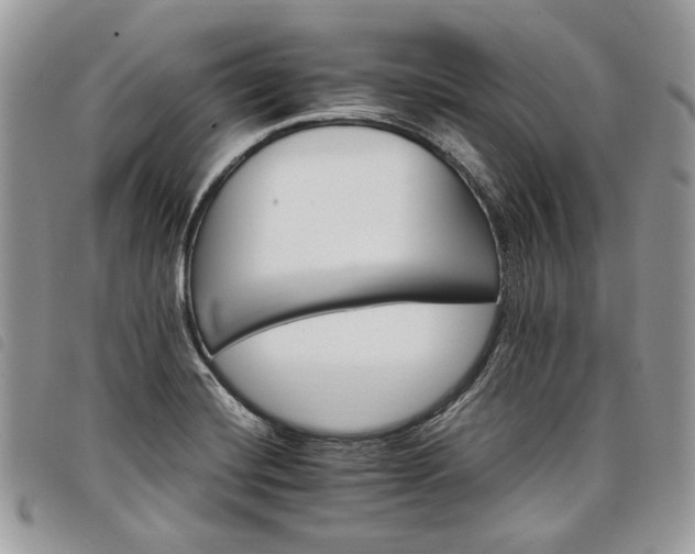 X0000098041420200804071429