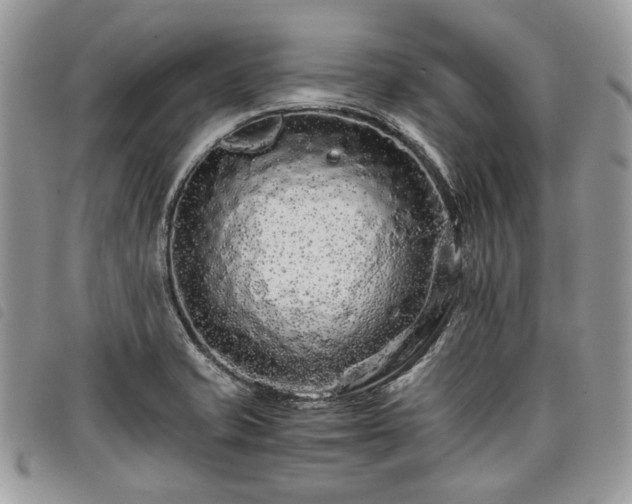 X0000098041421200804071430