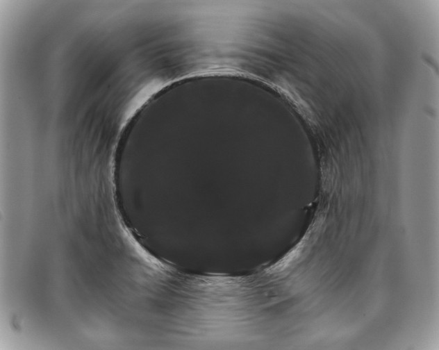 X0000098041422200804071430