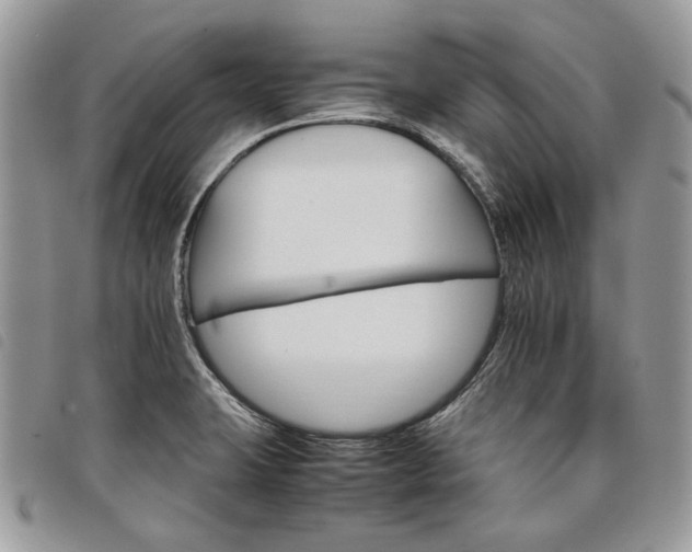 X0000098041423200804071430