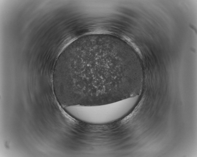 X0000098041425200804071430