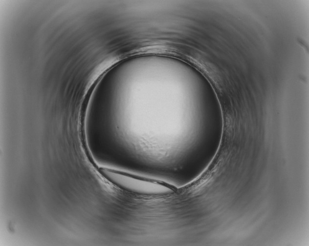X0000098041426200804071430