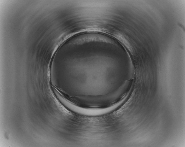 X0000098041428200804071430